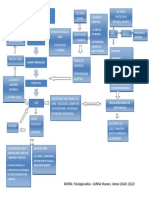 Mapa Conceptual Adopcion