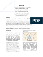 Reporte - Identificacion y Cuantificacion