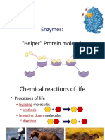 Le Ch. 6.2 Enzymes