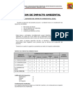 Estudio de Impacto Ambiental