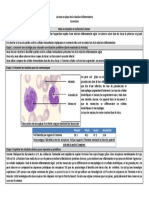 TP - La Mise en Place de La Réaction Inflammatoire - Correction