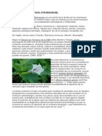 15 Estramonio PDF