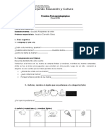 Prueba Transicion Psicopedagogica