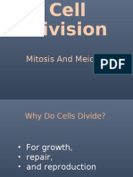 Cell Division