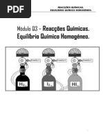 Módulo 3 - Reações Químicas. Equilíbrio Químico Homogéneo