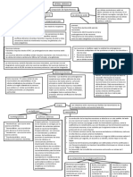 Sistema Nervioso Esquema