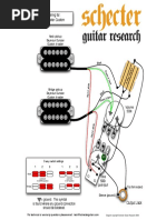 Schecter SYNYSTER CUST PDF