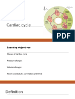 Cardiac Cycle 1