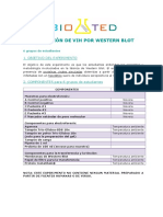 Deteccion Vih Western Blot