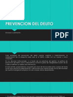 Prevencion Del Delito