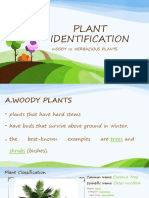 Plant Identification