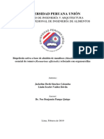 Jackeline Tesis Licenciatura 2019 PDF