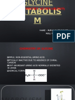 Glycine Metabolism