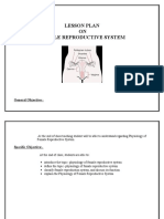 Lesson Plan On Female Reproductive System