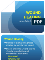 Wound Healing (James)