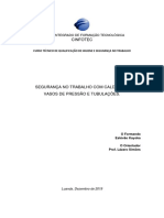 TRABALHO FINAL HST-Estevão - 1