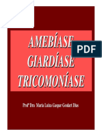 Amebíase, Giardíase e Tricomoníase