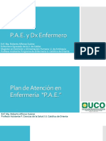 PAE DX NANDA NIC y NOC PDF