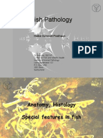 Fish Pathology - Anatomy Histology PDF