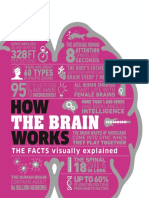 How The Brain Works - DK PDF