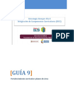 Guia 9 - Fortalecimiento Curricular Planes de Area