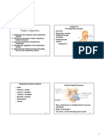 Cha 24 Tortora Respiratory System