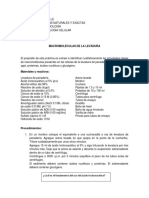 Lab 1-Macromoléculas de La Levadura1