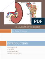 Acute Glomerulonephritis: By: Jhaziel E. Bermejo