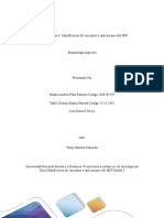 Identificasion de Conceptos y Aplicasion MIP - Colaborativo