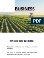 Agri Business NK