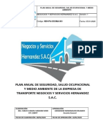 Plan Anual de Ssoma NSH Sac PDF