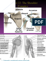 Chap22-Shoulder Complex