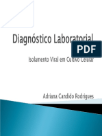 Diagnostico Laboratorial Isolamento Viral