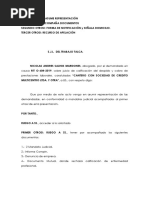 Apelacion Por La Medida Precautoria