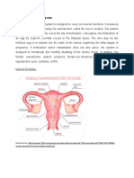 Anatomy and Physiology of The Female Reproductive System