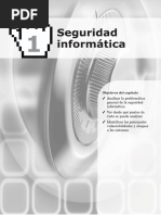 Seguridad Informatica PDF