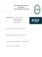 Informe de Adaptacion Al Cambio Climatico