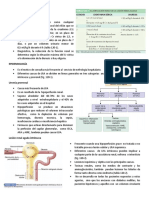 Lesion Renal Aguda