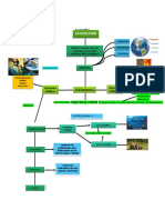 Mapa Conceptual Ecologia y Medio Ambiente