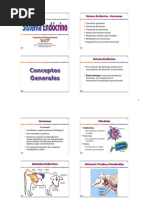 Sistema Endocrino PDF