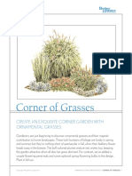 Garden Plan Corner of Grasses