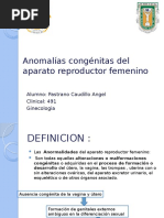 Anomalías Congénitas Del Aparato Reproductor Femenino