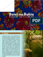 Portifólio - Baiei Na Bahia PDF