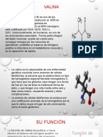 Aminoacidos Terminado