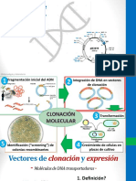 Vectores de Clonacion-Transformacion