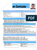 Curriculum Luis Formato Word