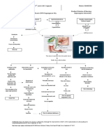 Mind Map Gallstones