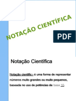 Notaçao Científica 1