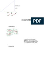 Clasificación de Vectores