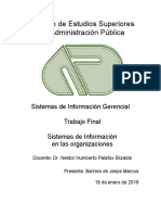 Sistemas de Informacion Final PDF